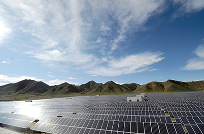 請?zhí)顚憳?biāo)題